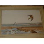 R** David Digby - watercolour "Falcon and gulls over the seashore", signed, labelled to verso,