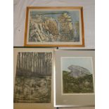 A coloured etching "West Cornwall Coastline" signed in pencil Ian Cooke;