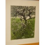 A coloured limited edition etching "Heldgerow", signed in pencil J Whiteford No.