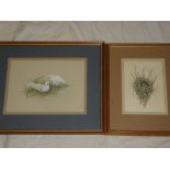 Lesley Anne Ivory - watercolours "Java Doves", signed,