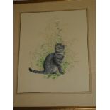 Lesley Anne Ivory - watercolour A study of a cat "Muppet in Red Clover", signed,