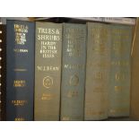Bean (W J) Trees and Shrubs Hardy in the British Isles, four vols.