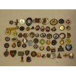 A large selection of various enamelled lapel badges and other lapel badges including Hierarchy