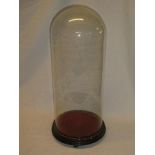 A Victorian glass display dome on circular ebonised stand,