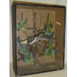 A Victorian taxidermy display of five stuffed birds within scenic glazed rectangular case