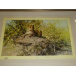 A large coloured limited edition wildlife print by David Shepherd "The Sentinel" No.