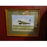 RICHARD FROST (XX): A watercolour "Ringed Plover", framed and glazed,
