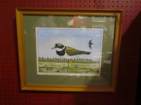 RICHARD FROST (XX): A watercolour "Ringed Plover", framed and glazed,