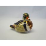 A Royal Crown Derby paperweight Carolina Duck, gold stopper,