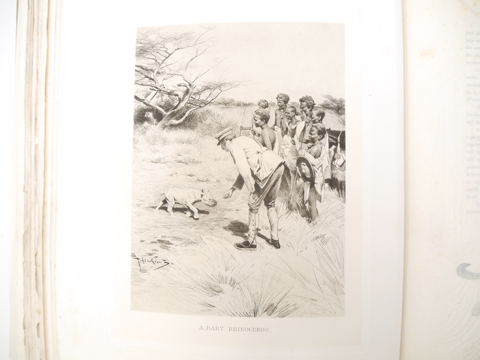 Count Joseph Potocki: 'Sport in Somaliland', London, Rowland Ward, 1900, 1st edition in English, - Image 28 of 40