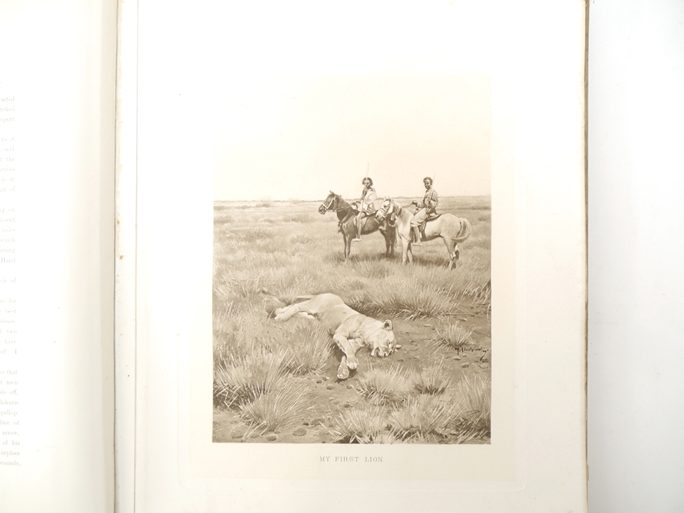 Count Joseph Potocki: 'Sport in Somaliland', London, Rowland Ward, 1900, 1st edition in English, - Image 26 of 40