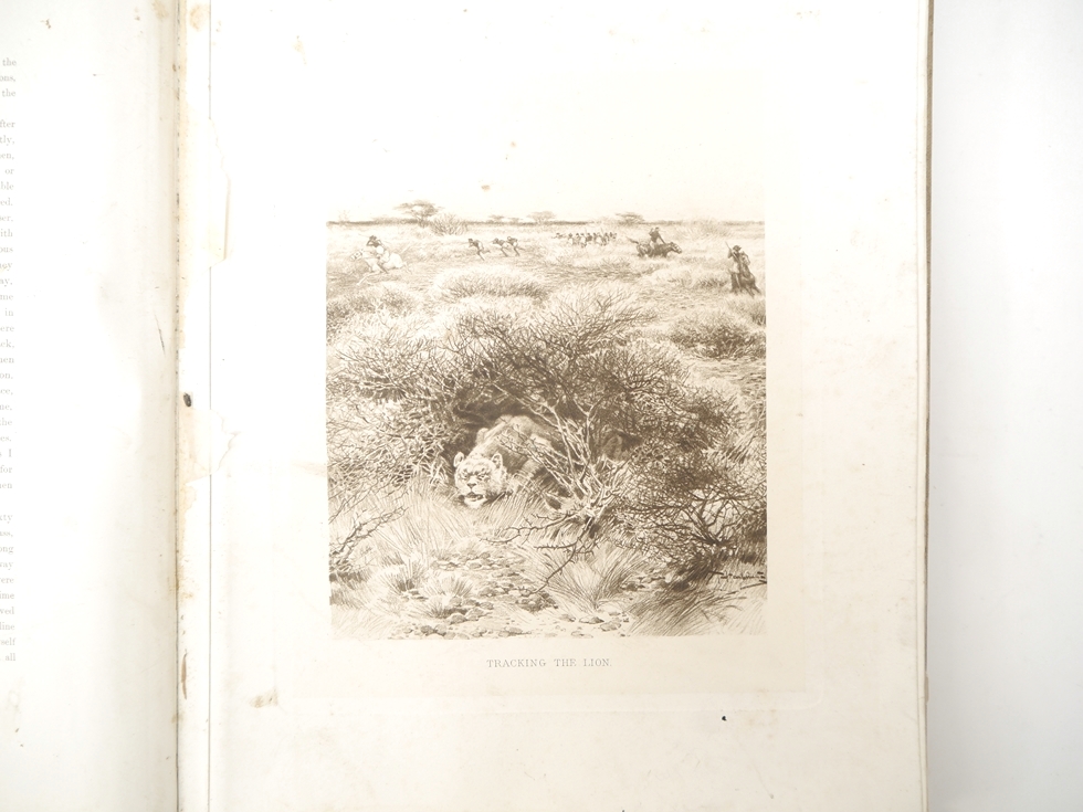 Count Joseph Potocki: 'Sport in Somaliland', London, Rowland Ward, 1900, 1st edition in English, - Image 25 of 40
