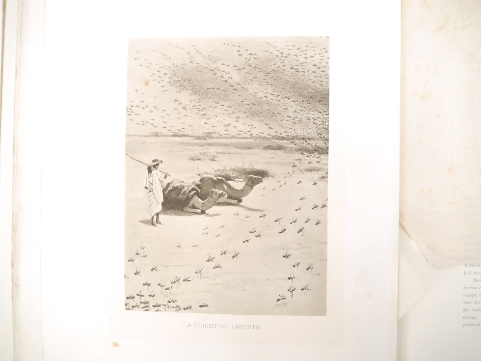 Count Joseph Potocki: 'Sport in Somaliland', London, Rowland Ward, 1900, 1st edition in English, - Image 22 of 40