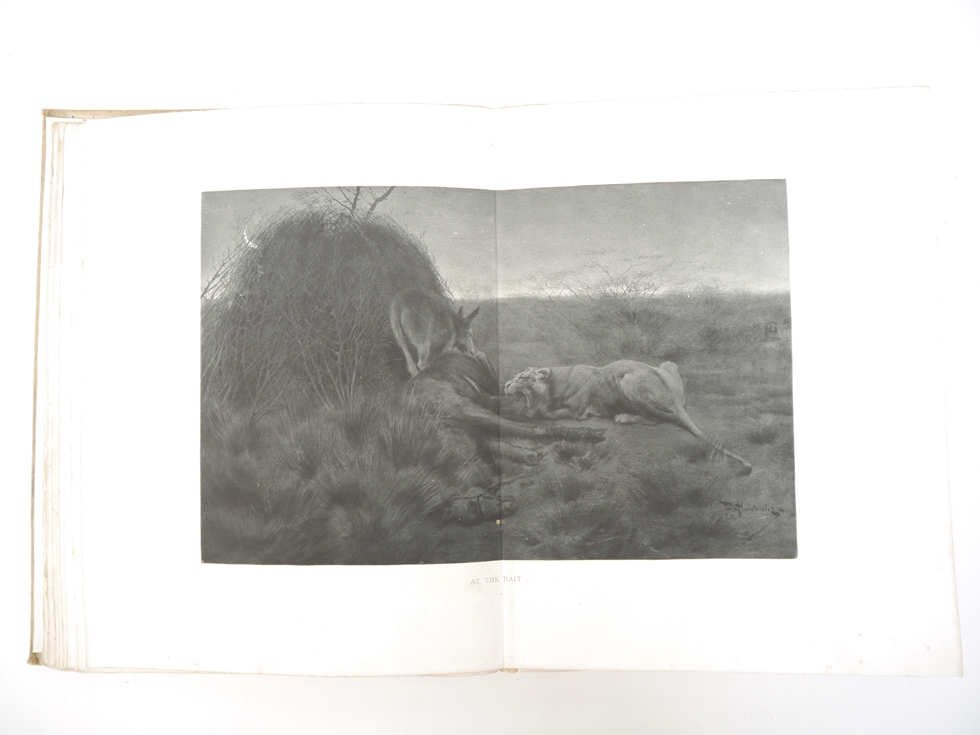 Count Joseph Potocki: 'Sport in Somaliland', London, Rowland Ward, 1900, 1st edition in English, - Image 9 of 40