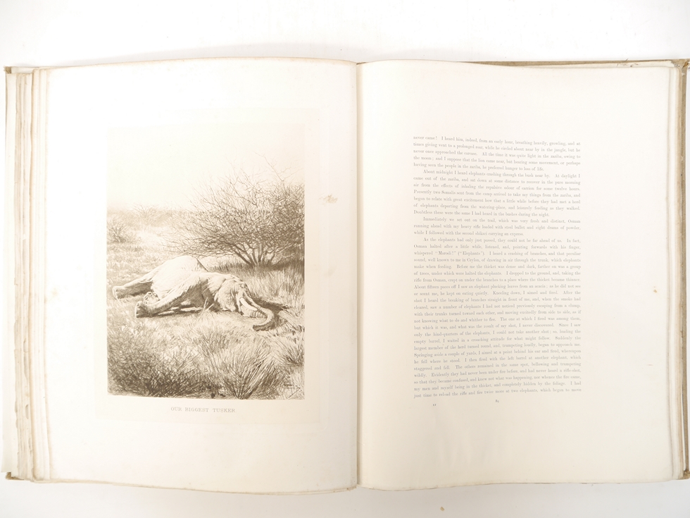 Count Joseph Potocki: 'Sport in Somaliland', London, Rowland Ward, 1900, 1st edition in English, - Image 29 of 40