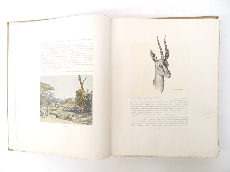 Count Joseph Potocki: 'Sport in Somaliland', London, Rowland Ward, 1900, 1st edition in English, - Image 18 of 40