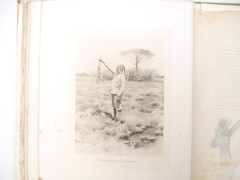 Count Joseph Potocki: 'Sport in Somaliland', London, Rowland Ward, 1900, 1st edition in English, - Image 32 of 40