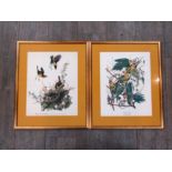 After John James Audubon (1785-1851): A set of four framed and glazed folio prints from The Birds of