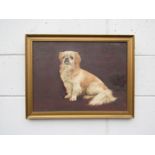 FRANCES MABEL HOLLAMS (1877-1963): An oil on board of a seated spaniel named "Pushkin",