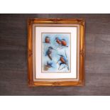 MARK CHESTER (b.1960): A framed and glazed watercolour, studies of Kingfishers. Signed bottom right.