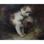 Attributed to George Armfield (1808-1893): An oil on canvas of a Terrier with rabbit catch.