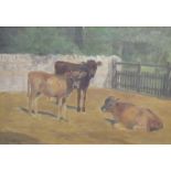 JOHN LEY-PETHYBRIDGE (1865-1905) An oak framed oil on canvas of three calves.