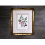 ZOE NORMAN (XX/XXI): A framed and glazed watercolour, Rhododendrons and Butterflies.