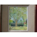 PIERRE LAURENT 1959: Oil on canvas depicting trees in a garden, signed lower right, framed 33.5 x