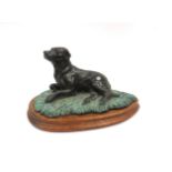 A bronze figure of a recumbent Labrador on verdigris base, wooden plinth,