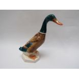 A Beswick Mallard Duck (standing) in brown and teal green gloss, model no. 902