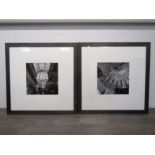 Two framed and glazed photographic prints in black and white featuring architectural skylights.