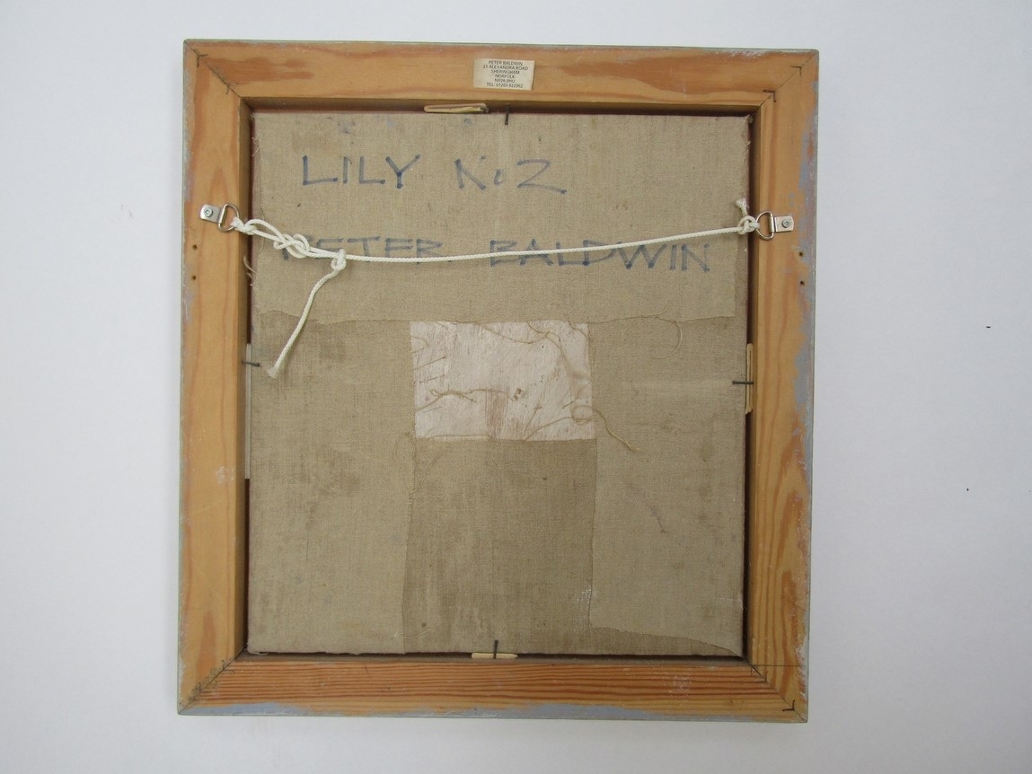 PETER BALDWIN (b.1941,Norwich 20 Group member) An oil on board titled 'Lily No.2'. Details and label - Image 3 of 4