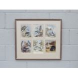 A framed and glazed group of six prints after Thorburn, mounted as one, depicting Birds of Prey,