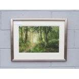 KEVIN CURTIS (1958-2009) A framed & glazed oil on card, 'Spring Woodland'. Signed bottom right and