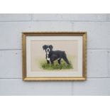 REX GRATTAN FLOOD (1928-2009) A framed and glazed acrylic on paper of a black cross breed dog.
