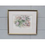 GWYN JONES (XX) A framed and glazed watercolour of Clematis 'Nelly Moser'. Pencil signed and dated