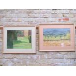 JILL JACKSON (b.1935 - Norfolk & Norwich Art Circle) Two framed and glazed pastel works, 'Young tree