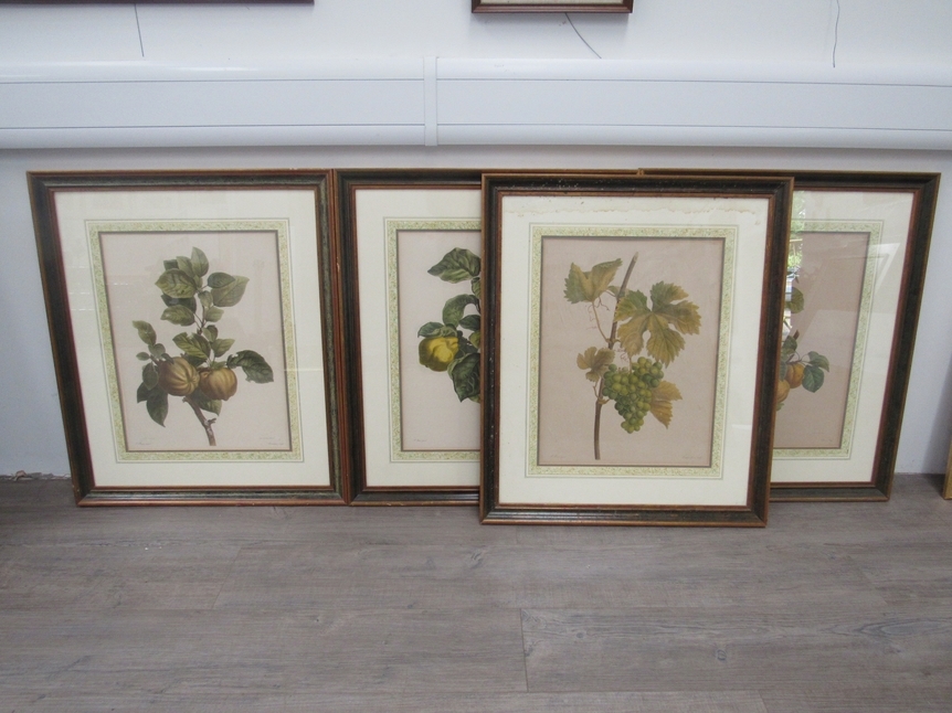 A set of seven framed and glazed botanical prints after Pancrace Bessa, each with fruiting - Image 4 of 5