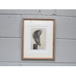 PETER BEESON (XX/XXI) A framed and glazed etching of a Barn Owl. Pencil signed and No. 2/40. Plate