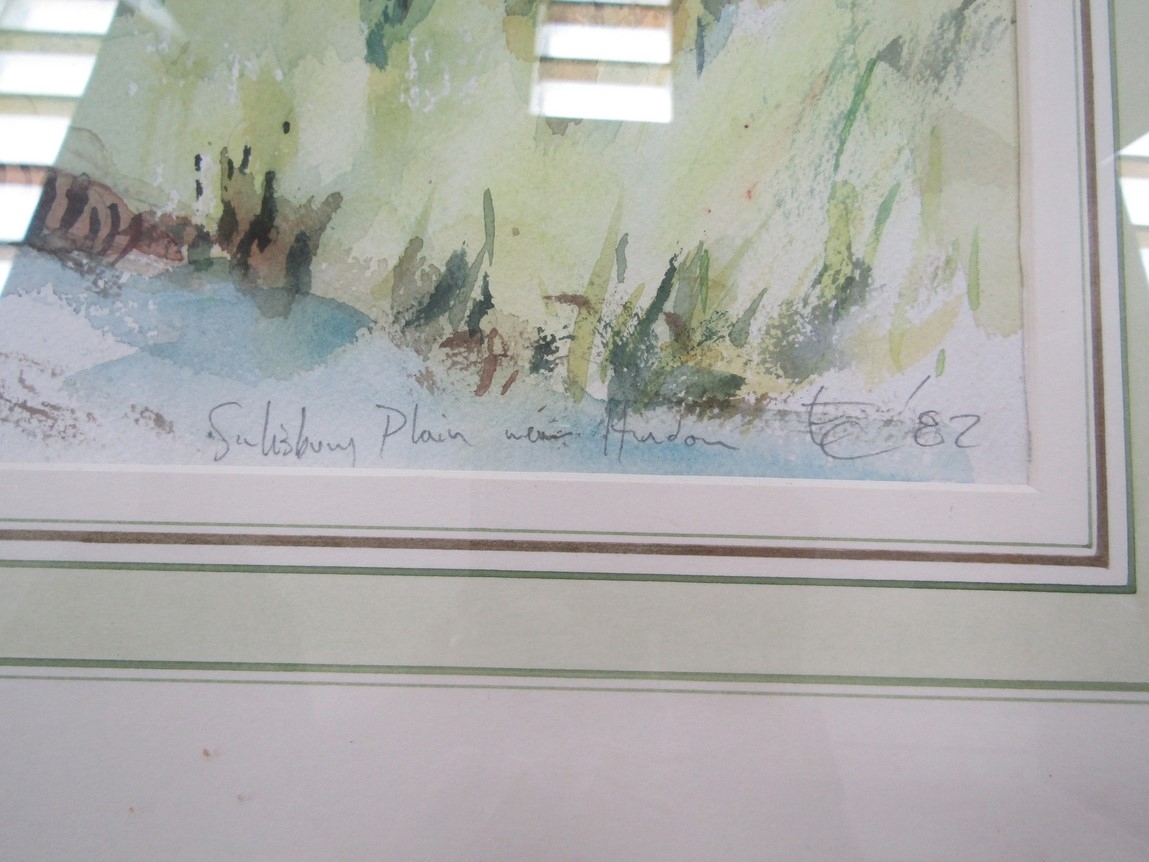 A late 20th Century framed and glazed watercolour, 'Salisbury Plain'. Monogrammed 'EC' and dated '82 - Image 2 of 2