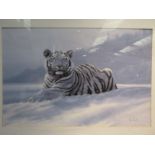 A print depicting an Arctic Tiger in snow, indistinctly signed lower right, 38cm x 58cm