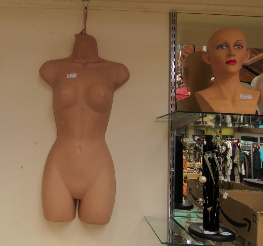 Two female tailors dummies, two wooden bases, a male torso tailors dummy, five mannequins heads - Image 5 of 7