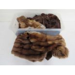 A box containing a good quantity of vintage furs, mainly stoles