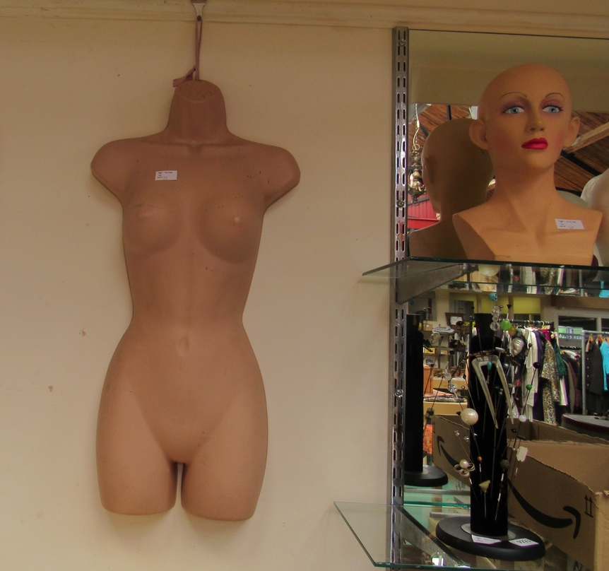 Two female tailors dummies, two wooden bases, a male torso tailors dummy, five mannequins heads - Image 4 of 7