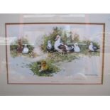 A David Shepherd limited edition print "Muscovy Ducks", No.145/850, blinstamped, framed and