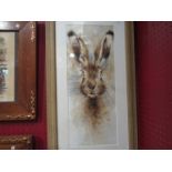 JOHN RYAN: A 'Hare' watercolour, framed and glazed, 50cm x 20cm