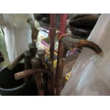 Five walking canes including horn handle, three silver engraved knops, bamboo etc.