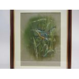 M.WARREN: A watercolour of a kingfisher in reeds, framed and glazed, 40.5cm x 30cm