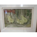 ANDREW OSBORNE (b.1968) A framed and glazed watercolour of four chicks. Signed bottom right. Image