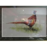 JOHN RYAN: An acrylic of a 'Cock Pheasant', framed and glazed, 36.5cm x 56.5cm